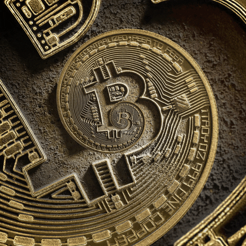 bitcoin gif
