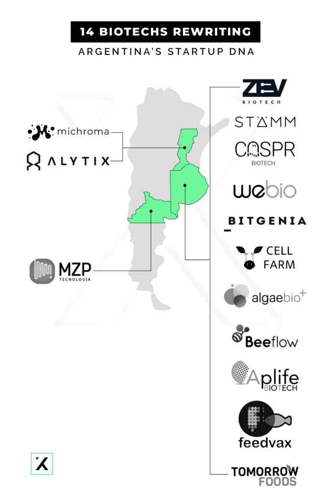 14 biotechs rewriting argentina’s startup dna