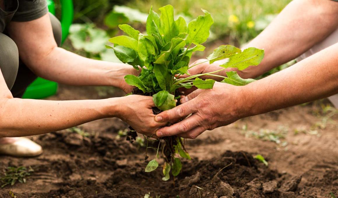 Agrapp is a crowdfunding platform from Colombia.