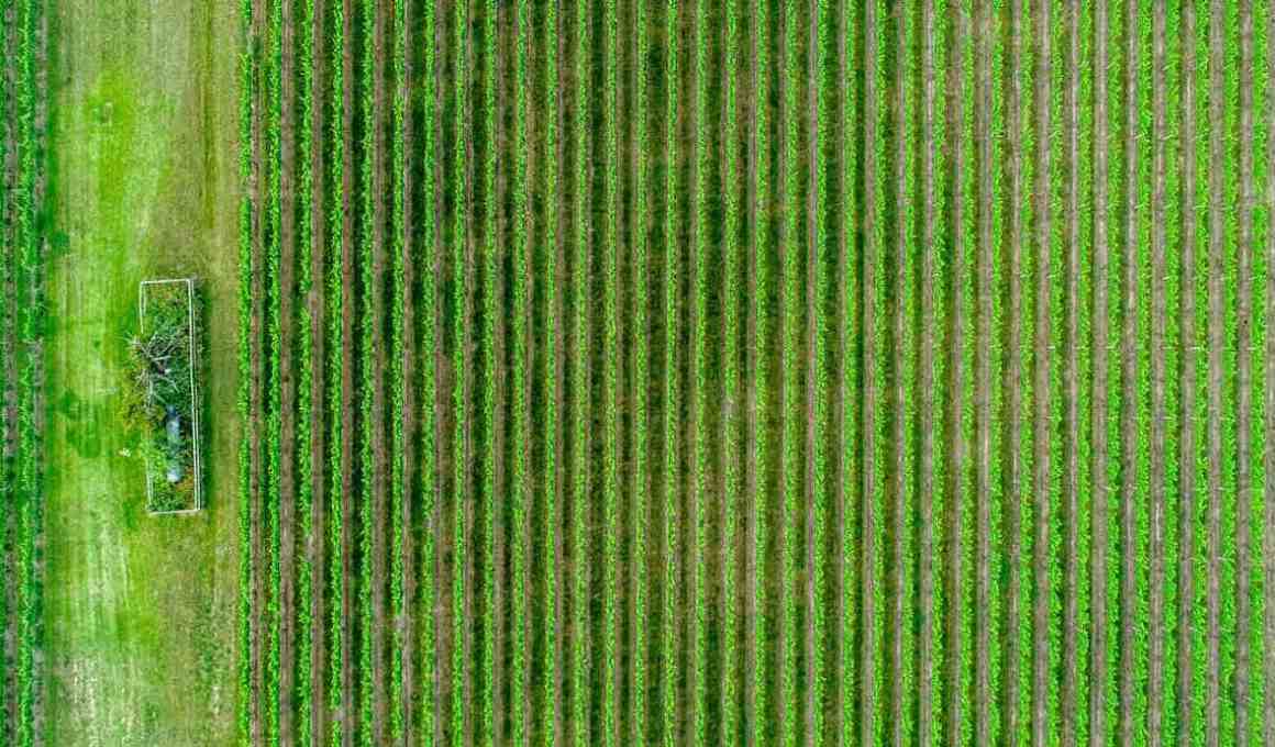 atomic agro developed social media app for farmers, and now raises investment