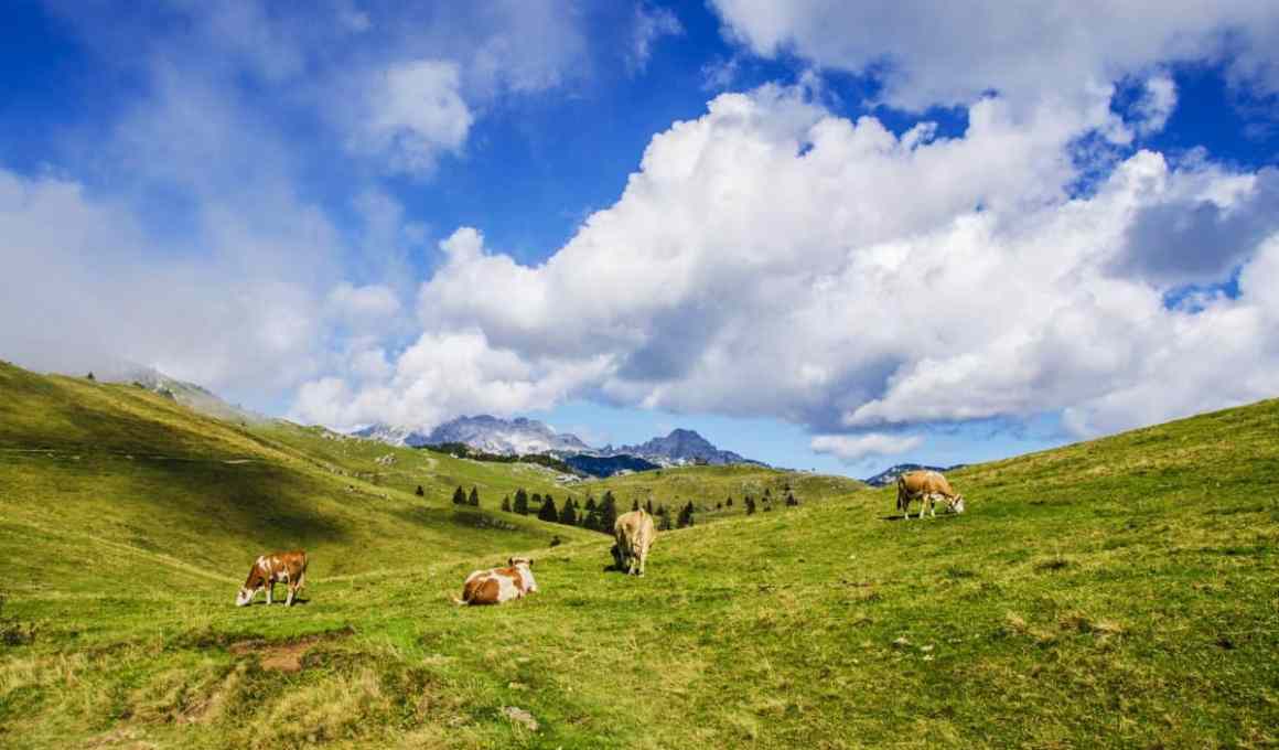 agrotech startups attend latin america’s largest farm show