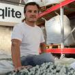 CEMEX Ventures will also help Arqlite soft-land into the United States.