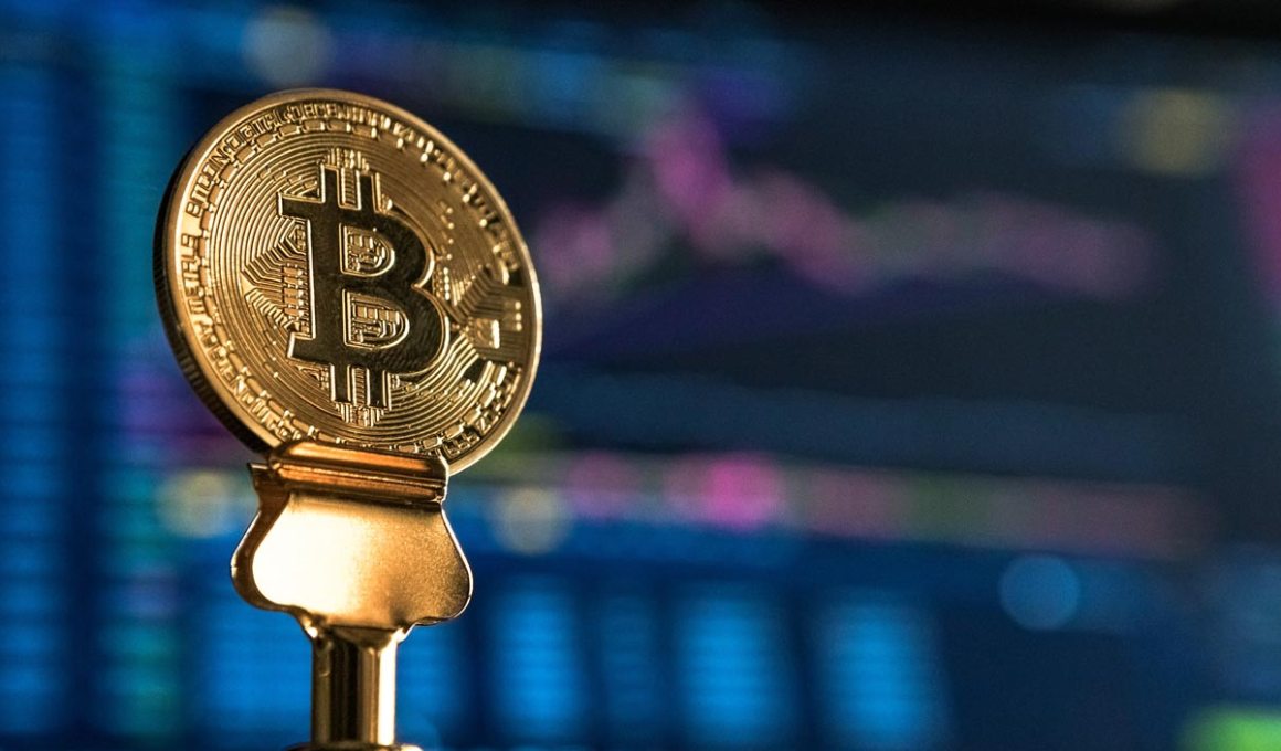 xcapit, the startup with a bot to invest in cryptocurrencies