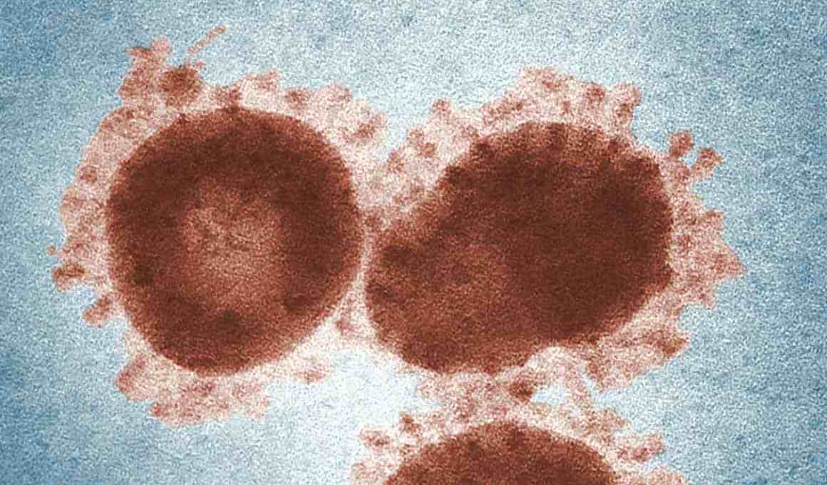 argentina caspr coronavirus