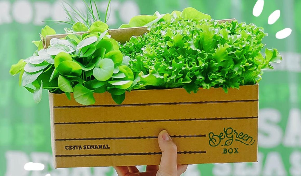 BeGreen is located in multiple cities across Brazil.