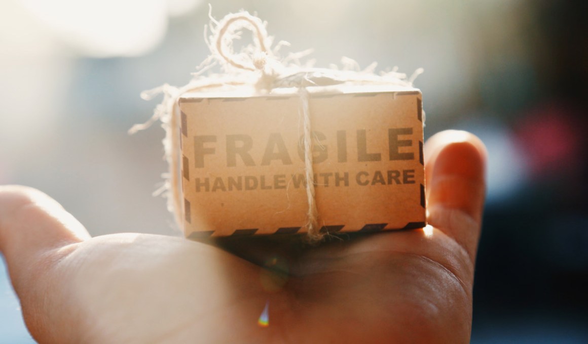 Canary wants Brazilian startups like Rapicare to disrupt the logistics industry.