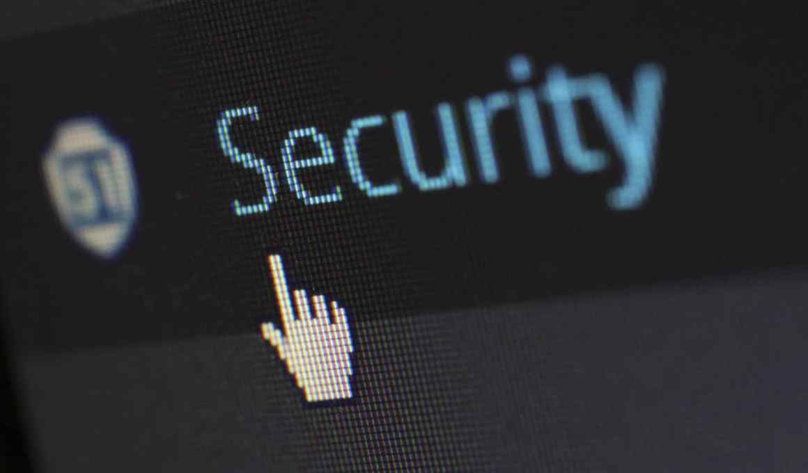 A cybersecurity startup helps its customers identify and mitigate risks.