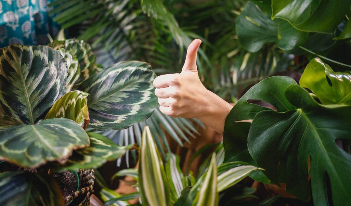 Cora is a Brazilian startup that wants to help small businesses manage their finances.