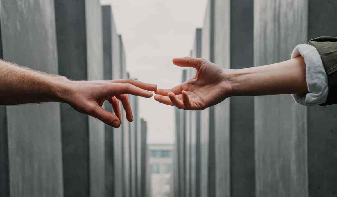 psicologia viva snags us$1 million to improve latam’s mental health