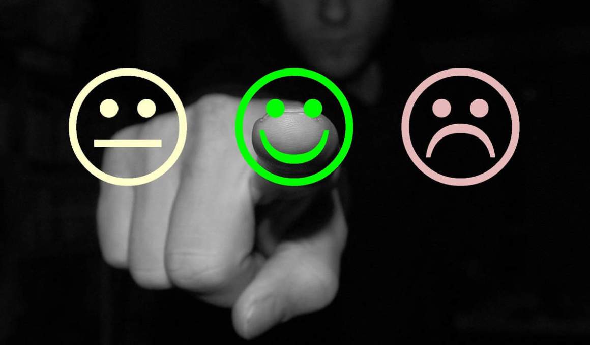 brazilian startup harmo has its eye on the feedback economy