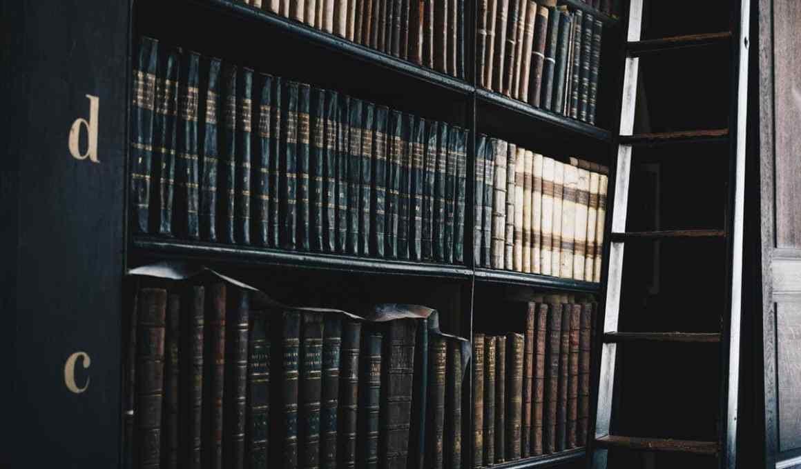 canadian constellation continues expansion into brazil, acquires kurier