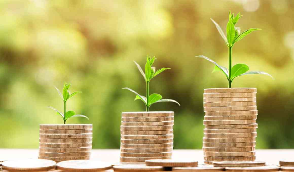 fintech bloxs raises ~us$690,000 with domo invest