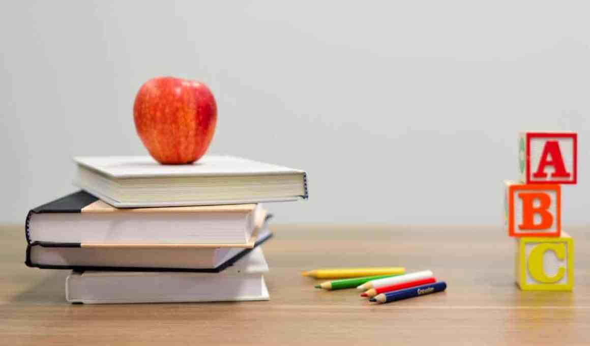 duolingo raised us$10 million, but did so subtly