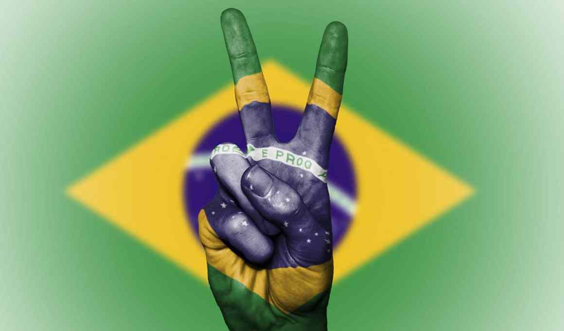 central bank of brazil to launch payment application, pix