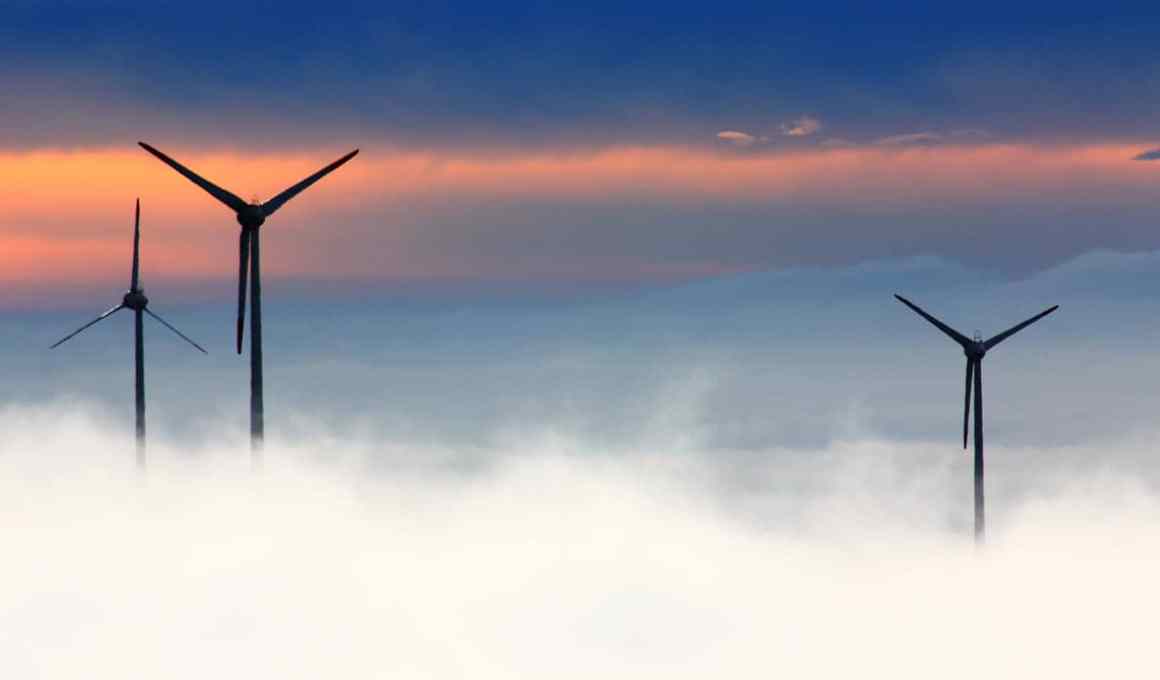 looking to scale up in latin america? wind ventures is looking for you