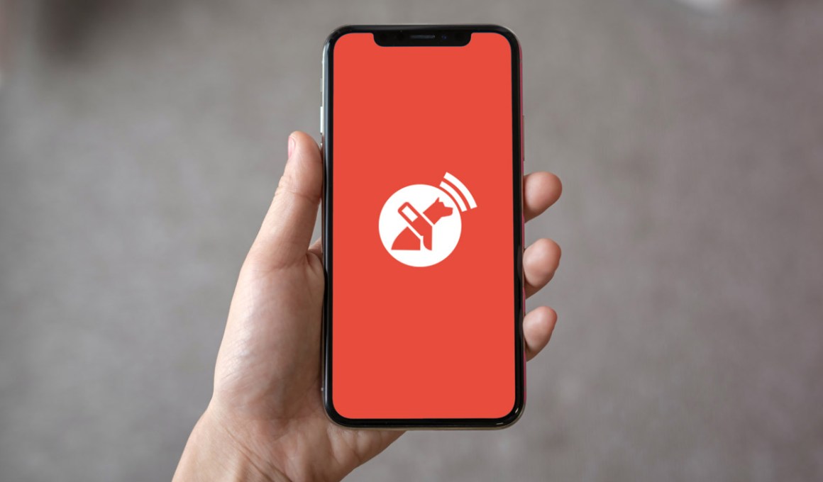 Chilean Startup Lazarillo Enters United States With App For Visually Impaired