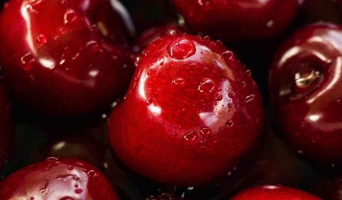 polynatural raises us$800,000 investment with chileglobal ventures