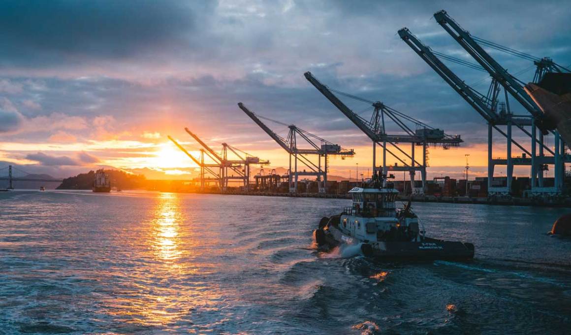 covid has blinded import dependent companies so nowports opened its ai tracking for all