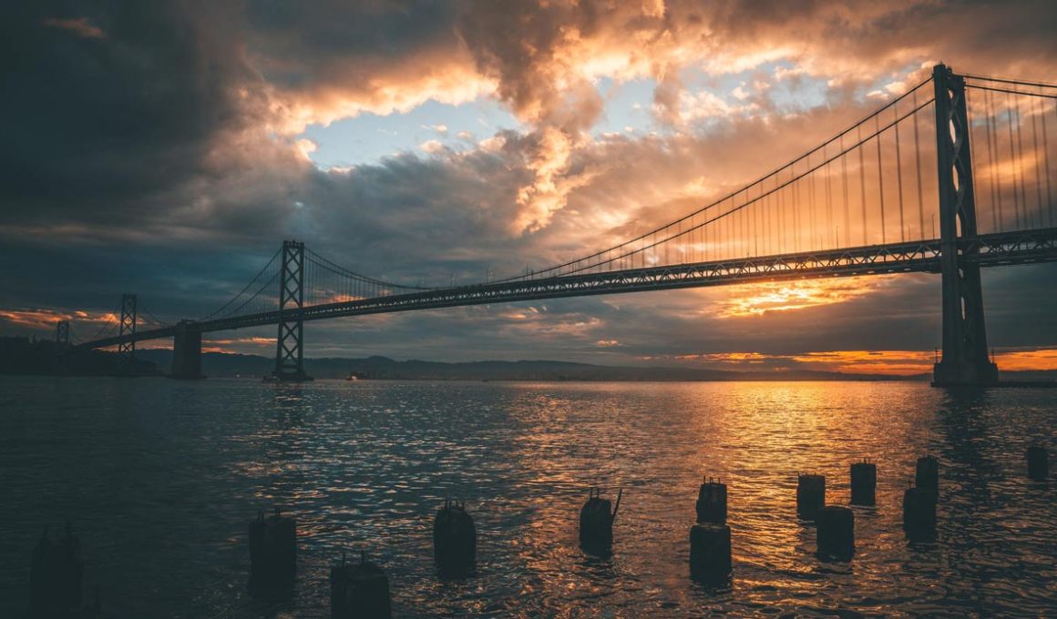 platzi demo day 2020 to take budding founders to the disneyland of entrepreneurs