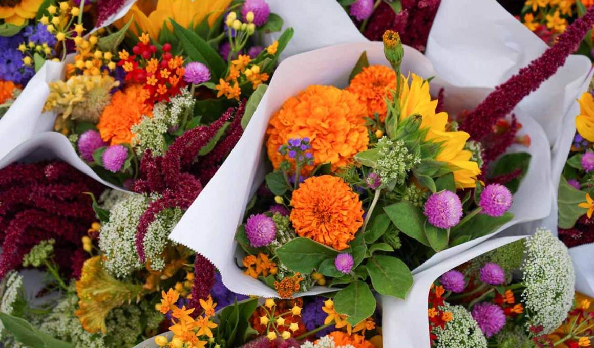 brazil’s esallabs brings innovation to… floriculture?