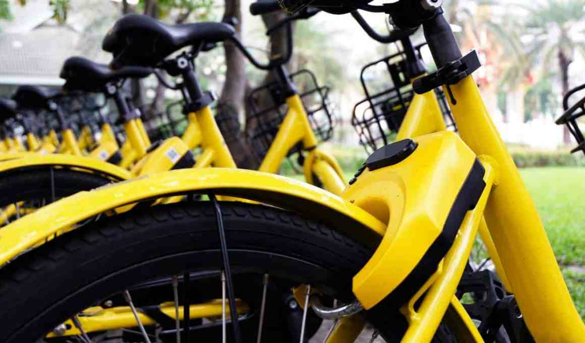 in brazil, grow isn’t growing—it’s retreating and making layoffs