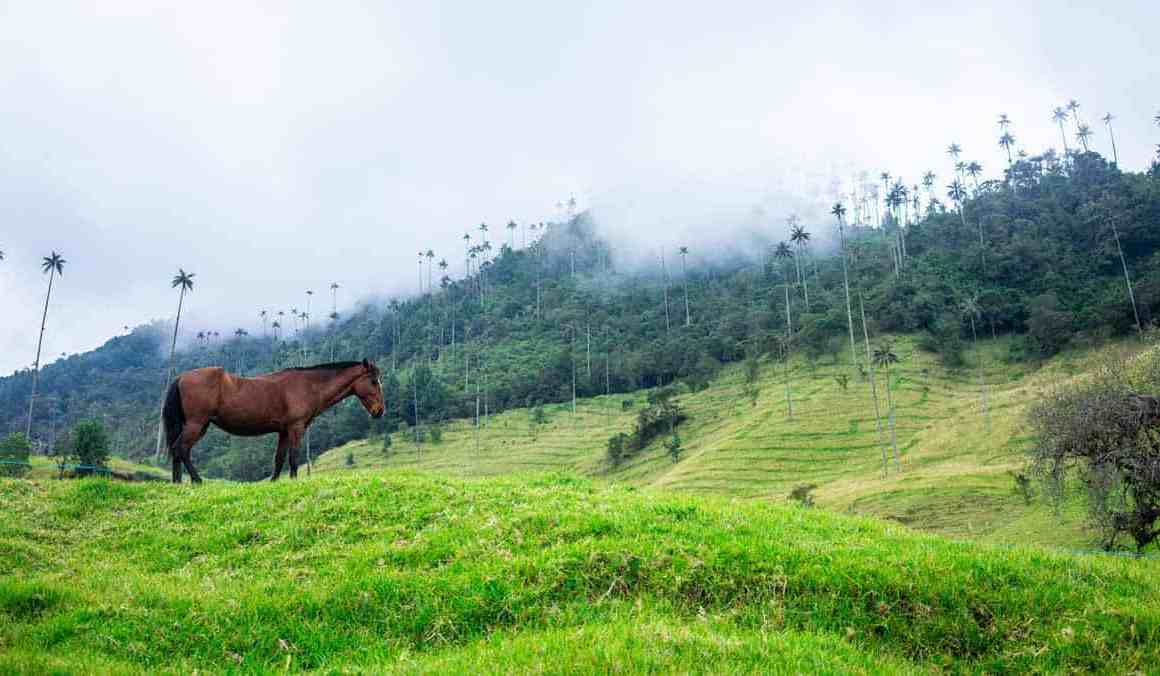 hughes network and facebook bring wi-fi hotspots to rural colombia