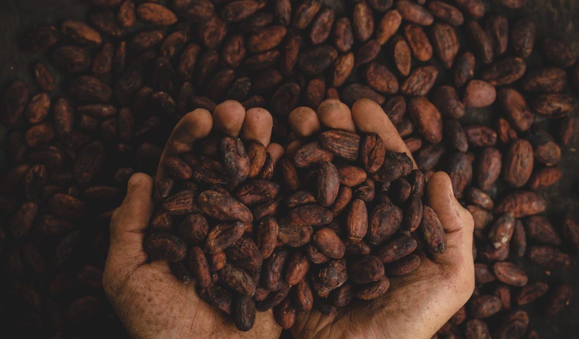 inter-american development bank will use us$600,000 to help small mexican farmers through blockchain