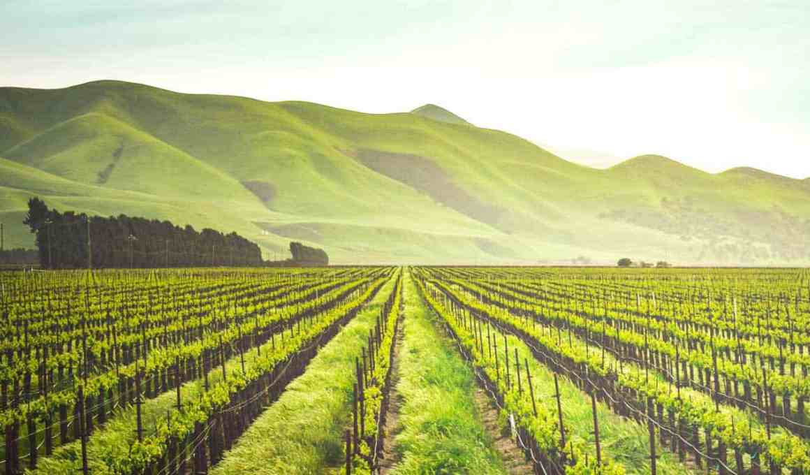 idgeo raises over us$171,000 to expand agrotech solutions in brazil