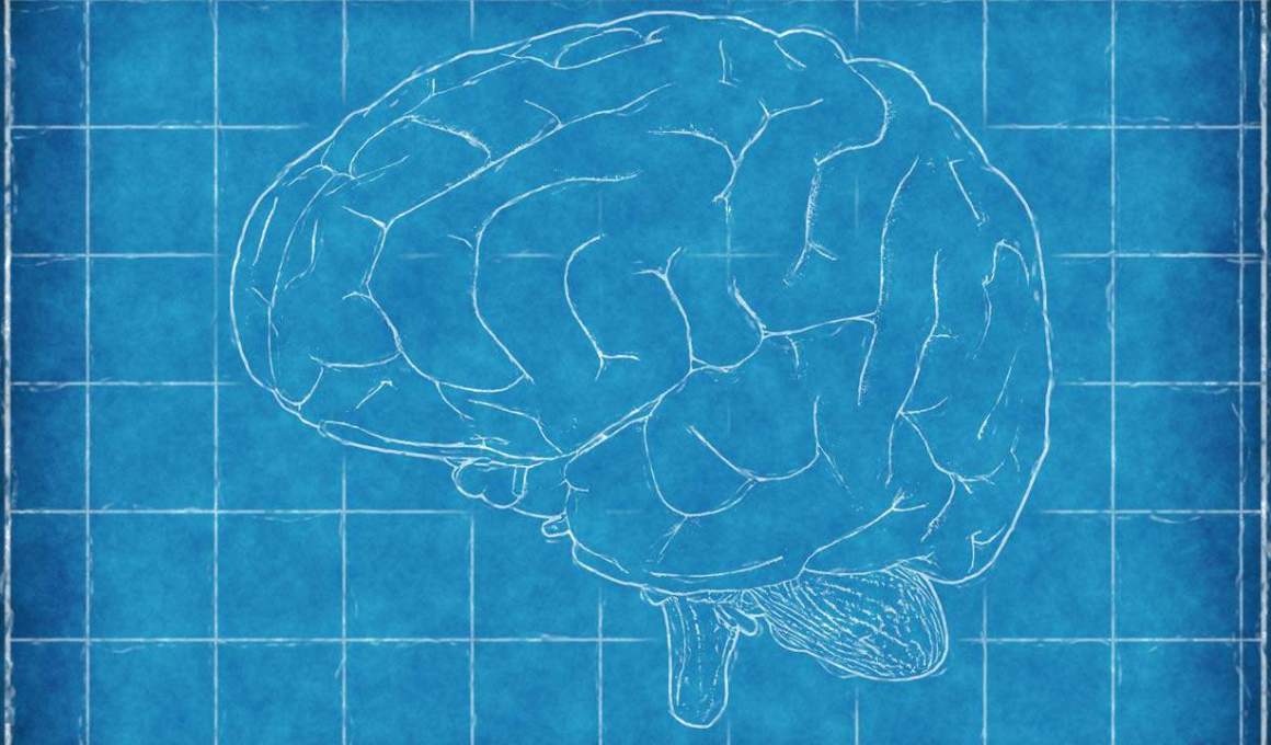 3 soluciones tecnológicas innovadoras diseñadas en méxico