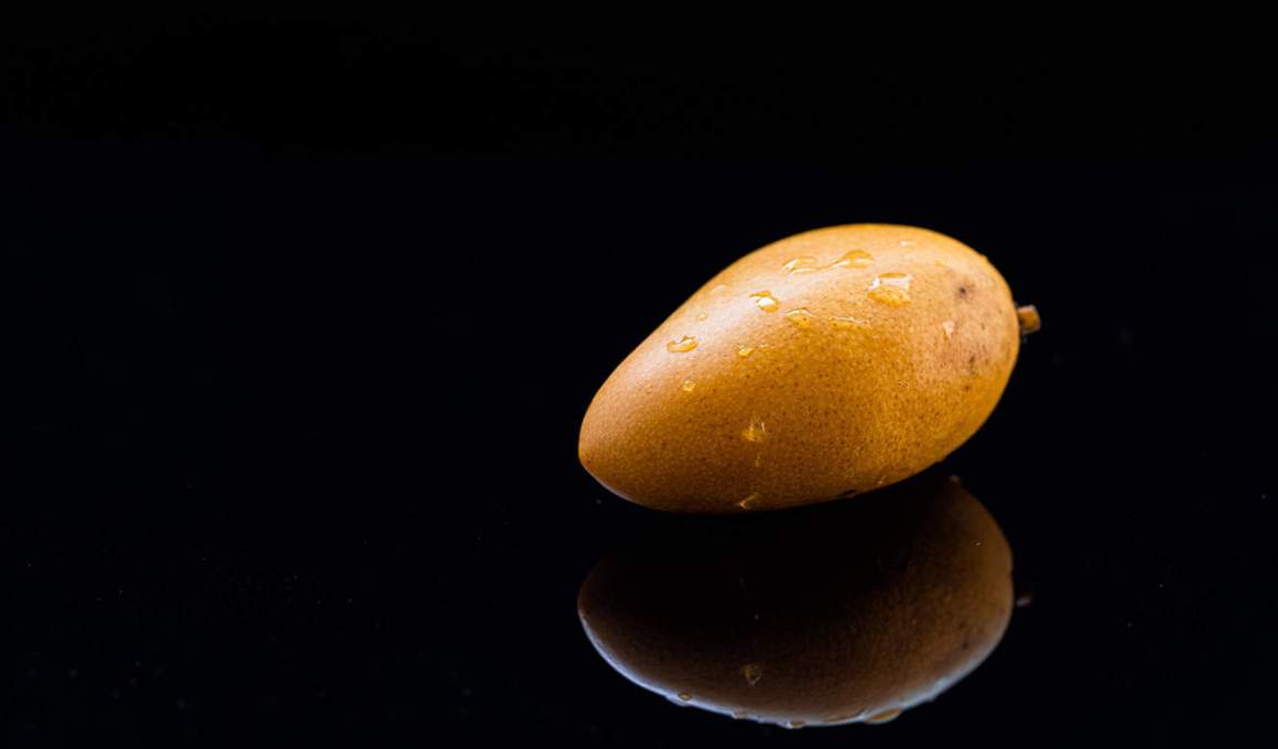 mexico’s genius foods gobbles up foodtech seed round led by redwood ventures