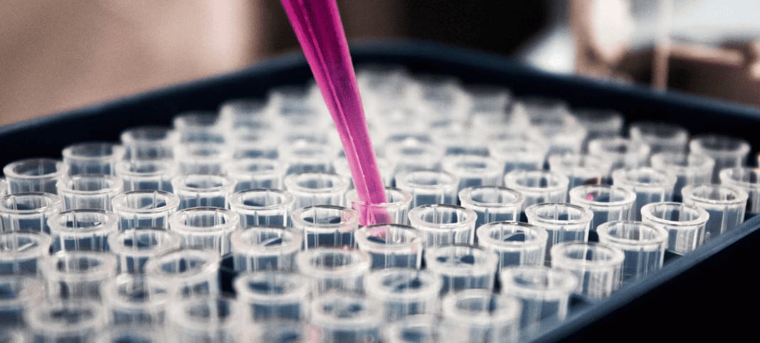 brazilian biotech startup, pluricell, raises us$1 million to combat cardiovascular disease