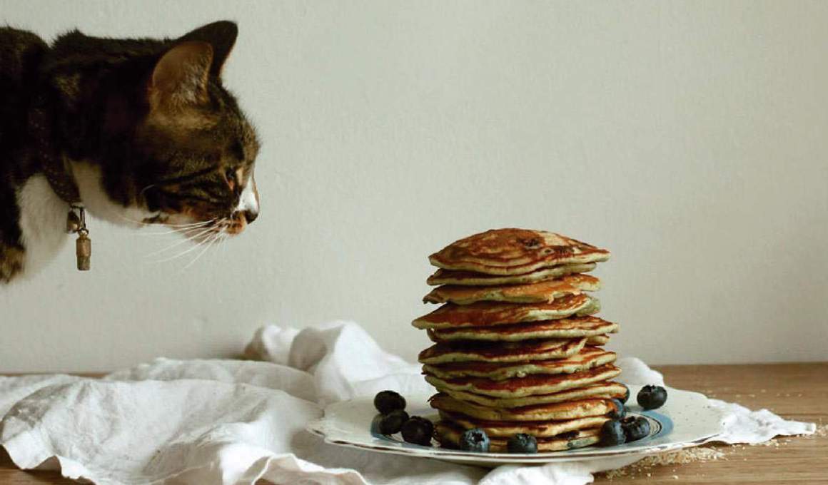 foodtech live green co’s meteoric rise it not about plant-based products but massive culture shifts