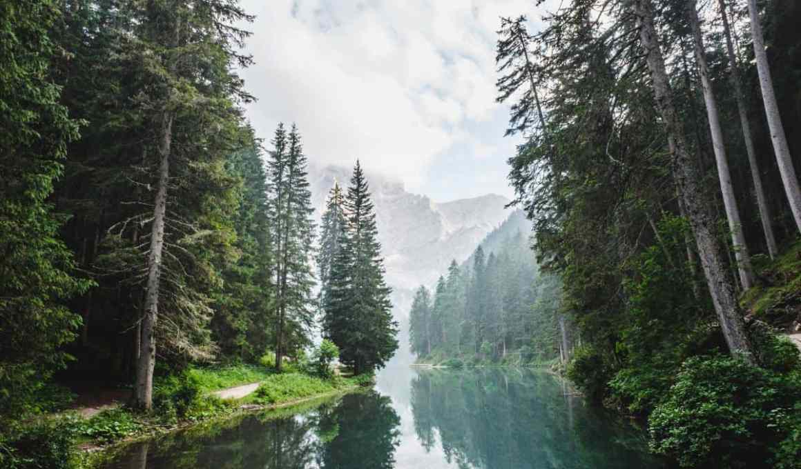 9 chilean startups developing eco-friendly products