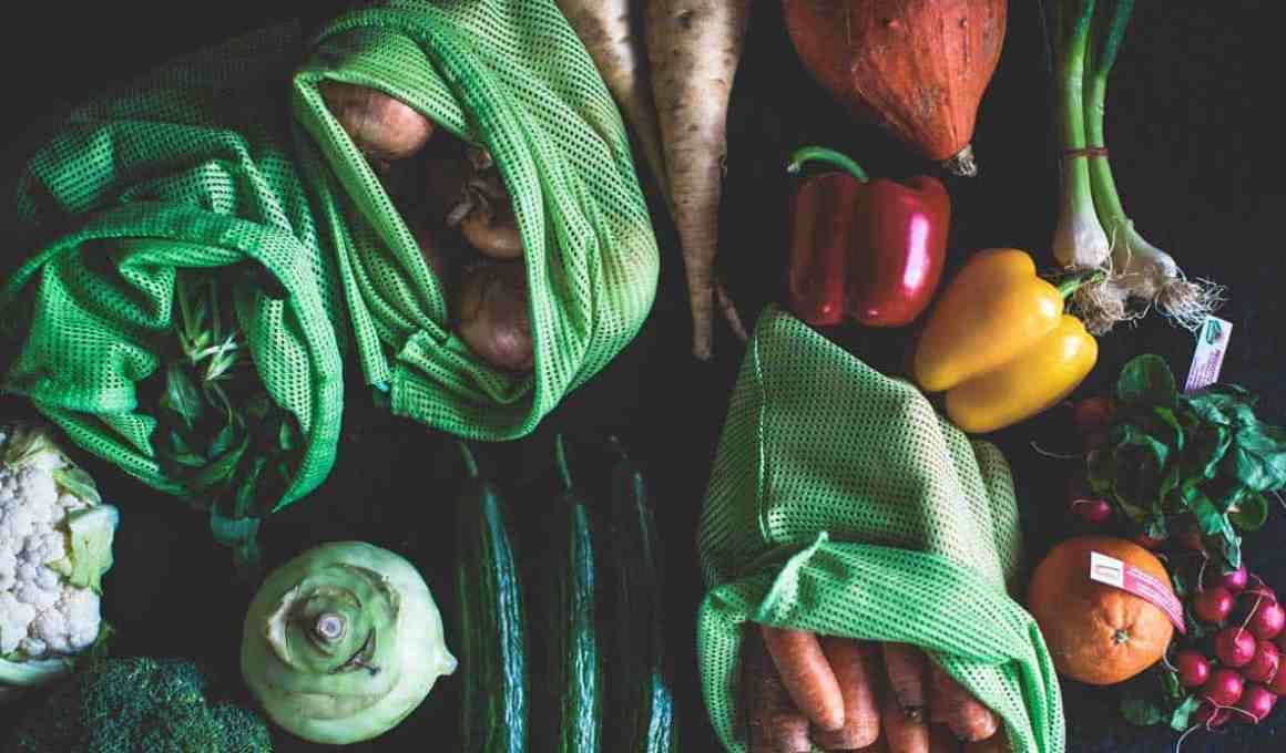 jüsto closes us$12 million to grow in mexico and launch into colombia