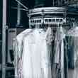 Dry Cleaning And Laundry Startup, Mr Jeff, Raises Us$12 Million To Expand Operations In Latin America