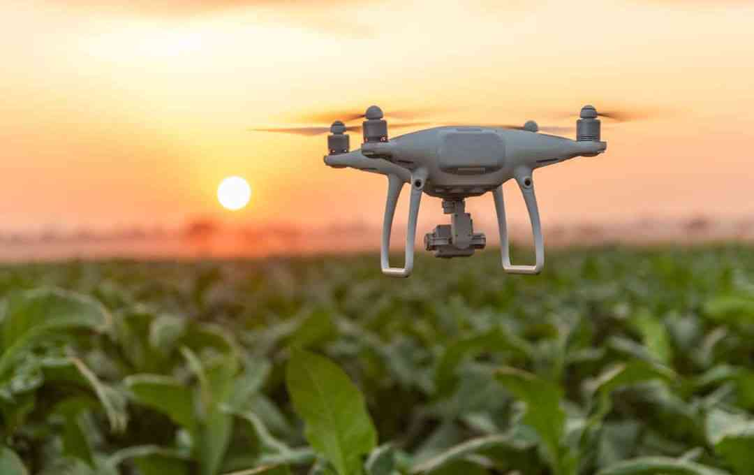 Nax Solutions agtech Spain