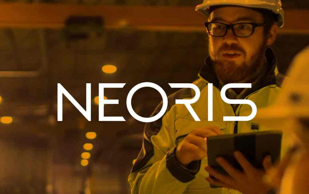 NEORIS Artificial Intelligence
