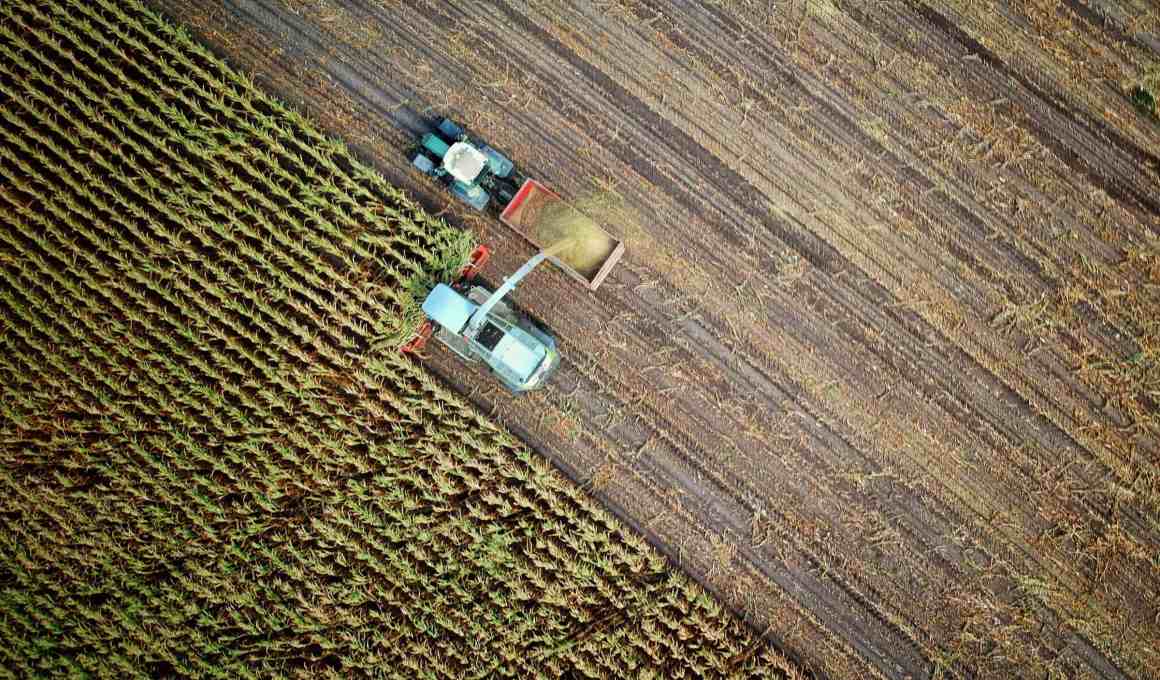 argentine agrotech startups present solutions at rural expo