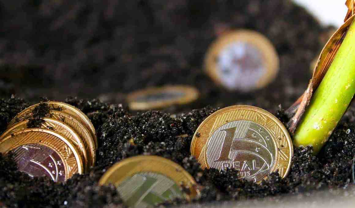 nubank splurges us$3.8 million to help cash-short customers