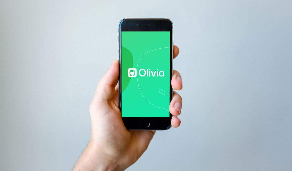 ai startup, olivia, raises funds to aid brazilians’ finances
