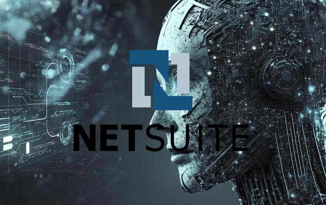 NetSuite IA LatAm