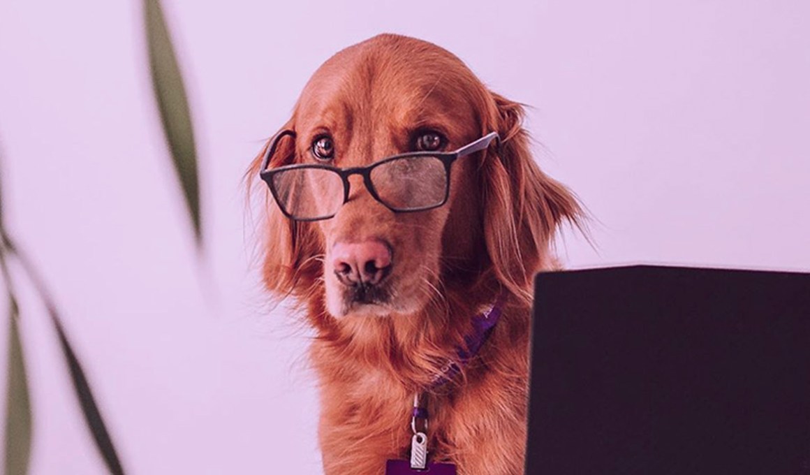 Petlove said its acquisition of Vetus is crucial to building a marketplace for third parties.