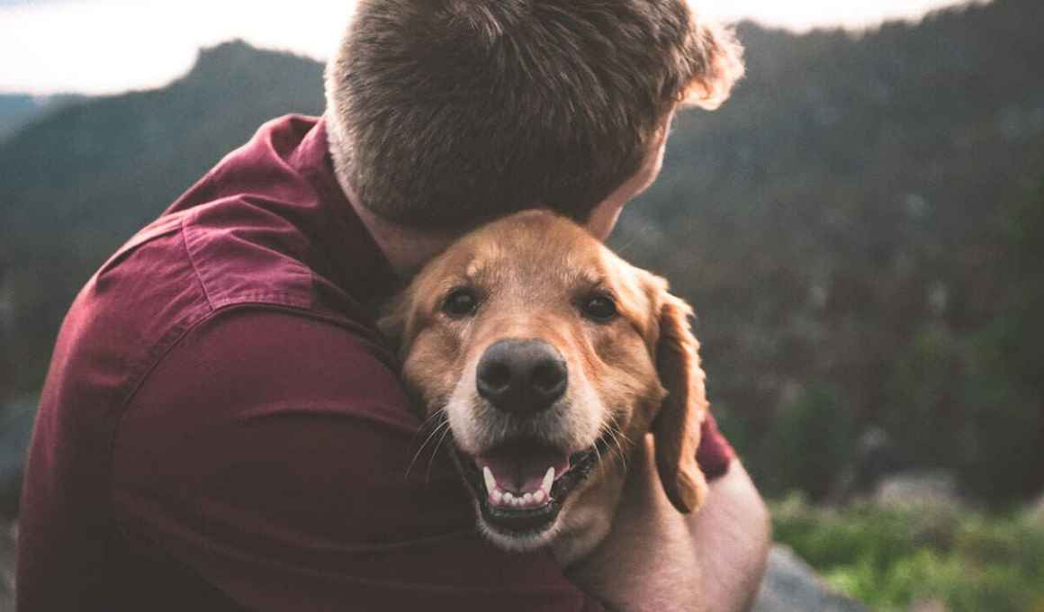 the cat’s out of the bag! petlove raises us$48 million with softbank