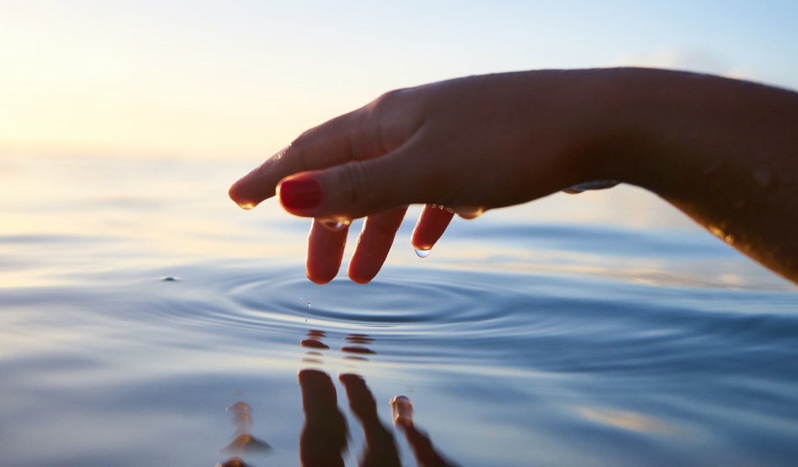 Preemar is a startup from eastern Mexico.