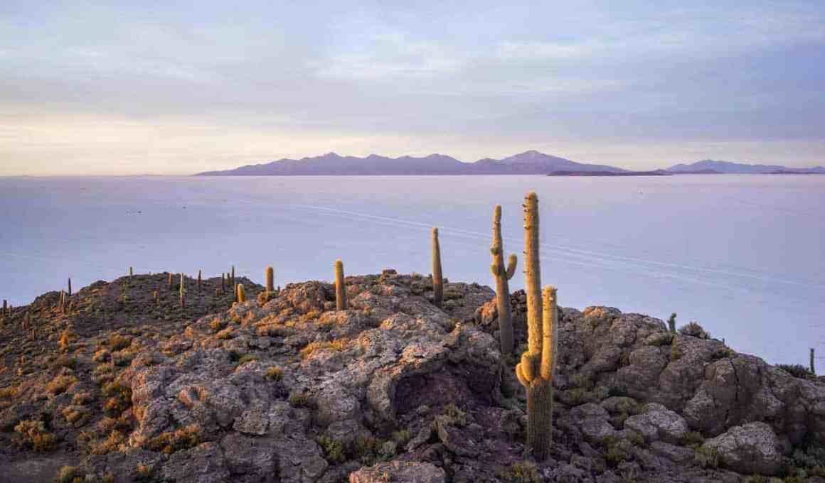 blockchain titles could change the power dynamic in bolivia, peru, and paraguay