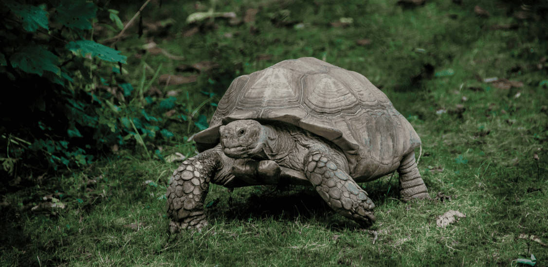 decelera organizes “deceleration” program in playa del carmen