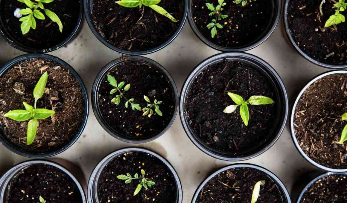 Seed Fundraising: Do It Fast Or Don't Do It At All