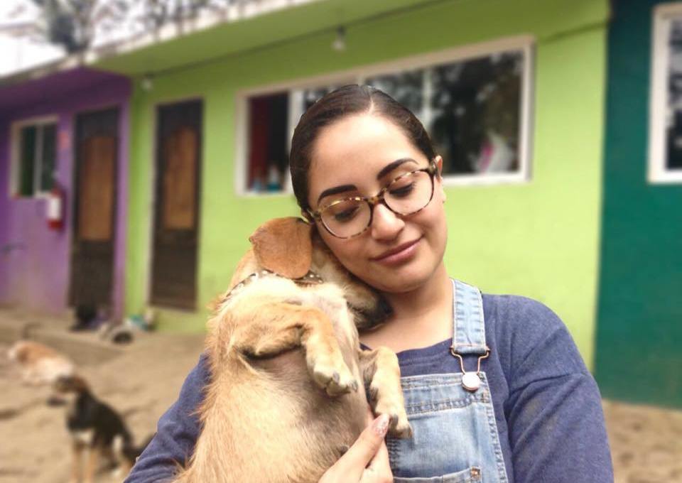 SinDelantal is a startup from Mexico.