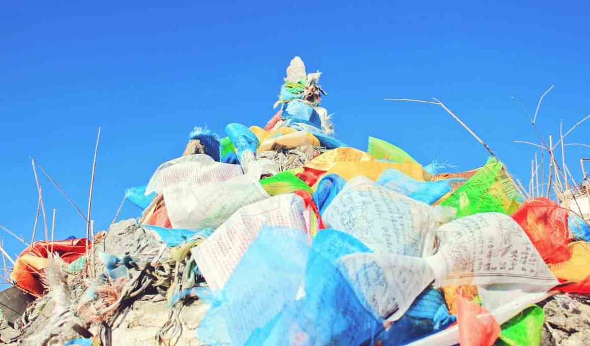 Solubag wants to expand to more markets.