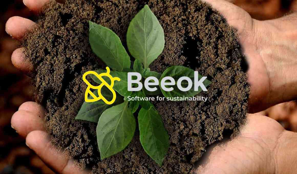 Startup Carbono Cero